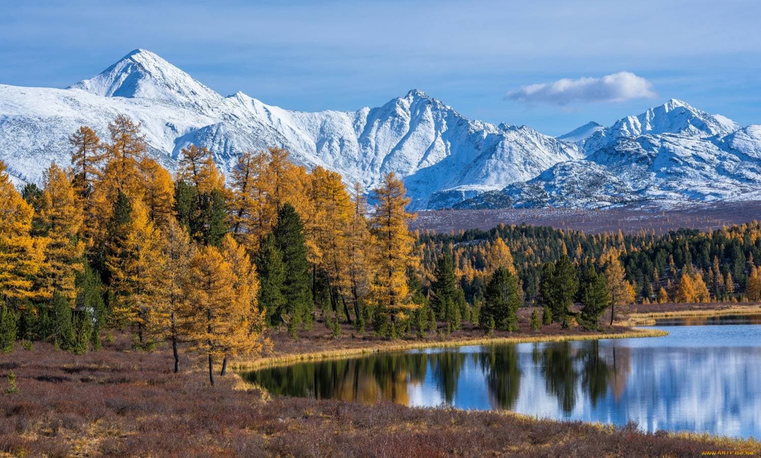 Горы покрытые снегом фото. Республика Алтай